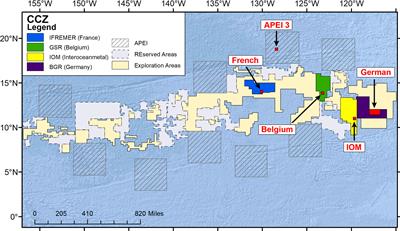 Macrofauna-sized foraminifera in epibenthic sledge samples from five areas in the eastern Clarion-Clipperton Zone (equatorial Pacific)